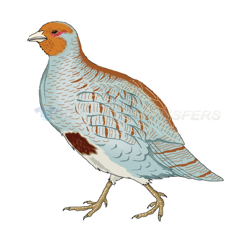 Birds Iron-on Stickers (Heat Transfers)NO.2143